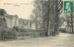 Delcampe - 52060 - DINAN - LA PROMENADE DU CHATEAU - Dinan