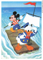 Delcampe - CAR-AFAP16-0776-DISNEY - Mickey - Donald - Disneyworld