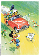 Delcampe - CAR-AFAP16-0781-DISNEY - Donald - Bouquet De Fleurs - Mickey - Chien - Disneyworld