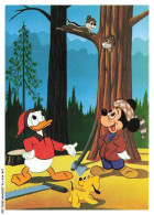 Delcampe - CAR-AFAP16-0777-DISNEY - Mickey - Donald - Disneyworld