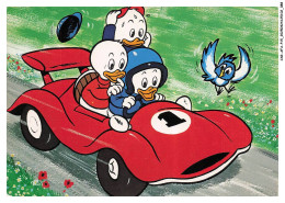 Delcampe - CAR-AFAP15-0751-DISNEY - Neuveux De Donald - Voiture - Disneyworld