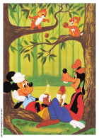 Delcampe - CAR-AFAP15-0753-DISNEY - Donald Et Dingo - Disneyworld