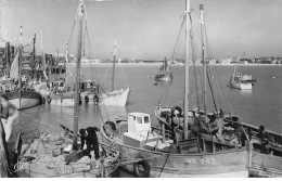 Delcampe - 17 ROYAN  AL#AL00851 LE PORT - Royan