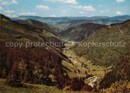 Delcampe - Feldberg Schwarzwald Blick Ins Wiesental Und Zum Belchen - Feldberg