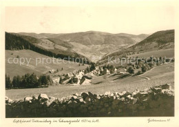 Delcampe - Foto Gutermann Nr. 10 Todtnauberg Schwarzwald - Loerrach