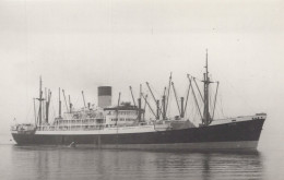 Delcampe - Ixion Cargo Ship Postcard Size Real Photo #SDH174 - Handel