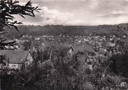 Delcampe - 78 SAINT REMY LES CHEVREUSE LE COTEAU DE RHODON - St.-Rémy-lès-Chevreuse