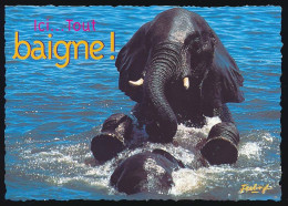 Delcampe - CPM 10.5 X 15 Dentelée Eléphant Assis Dans La Mer  "Ici...Tout Baigne" Carte Feeling - Olifanten