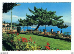 Delcampe - BAVENO (NO):   LAGO  MAGGIORE  -  LUNGO  LAGO  -  FG - Novara