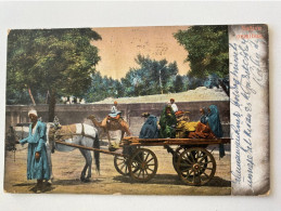 Delcampe - Egypt Africa Cairo Native Omnibus Horse Carriage Passenger Camel 19197 Post Card POSTCARD - Busse & Reisebusse