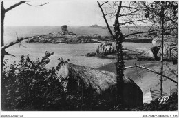 Delcampe - ABFP9-22-0797 - TREGASTEL - Le De Et Les Sept Iles Vus Du Bois - Trégastel