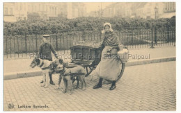 Delcampe - Latiere Flamande Attelage De Chien Hundegespann Milch - Bauern