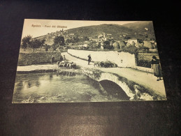Delcampe - VEU SPOLETO FONTI DEL CLITUMNO PANORAMA ANIMATA GREGGE PECORE - Perugia