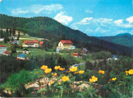 Delcampe - A5534 Romania Predeal - Rumänien