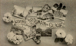 Delcampe - 76-SOUVENIR DE ST-ROMAIN DE COLBOSC ..VUES DIVERS ...CPA - Saint Romain De Colbosc