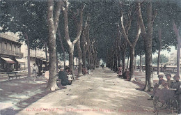 Delcampe - 11* NARBONNE  Promenade Des Barques          RL52,0528 - Narbonne