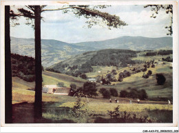 Delcampe - CAR-AAX-P11-68-0812 - VALLEE D'ORBEY - Vogesenlandschaft - Zell - Orbey