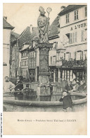 Delcampe - CAR-ADCP10-0603-68 - Fontaine Saint Thiébant A THANN - Thann