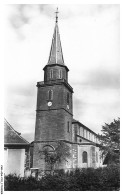 Delcampe - CAR-ADAP10-0499-68 - L'église Paroissiale De DANNEMARIE - Vue D'ensemble - Dannemarie