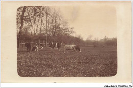 Delcampe - CAR-ABOP3-0231-68 - Environ De COLMAR - Carte Photo - Colmar