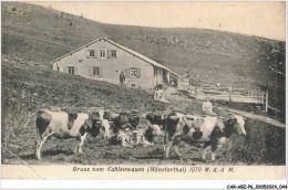 Delcampe - CAR-ABZP6-0419-68 - MUNSTER - Gruss Vom Kahlenwasen - Vendue En Etat - Munster