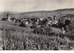 Delcampe - 68 . N°101995 . Cpsm .10x15 Cm .riquewihr .vue Generale . - Riquewihr