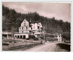 Delcampe - 68.RIBEAUVILLE.HOTEL DE LA PEPINIERE.CPSM - Ribeauvillé