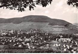 Delcampe - 68 - GUEBWILLER - SAN23644 - Vue Partielle Des Vignobles Schlumberger - CPSM 15X10,5 Cm - Guebwiller