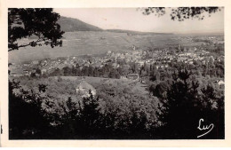 Delcampe - 68 - GUEBWILLER - SAN28877 - Vue Générale - CPSM 14X9 Cm - Guebwiller