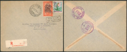 Delcampe - Congo Belge - Affranch. Mixte (Masques / Fleurs) Sur Lettre Par Avion En Recommandé De Elisabethville > Chicago (USA) - Covers & Documents