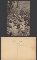Delcampe - India Old Postcard Mossy Falls Mussoorie Favourite Picnic Resort Woman Girl 6563 - Indien
