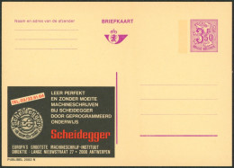 Delcampe - Publibel N°2582N / 3F50 Chiffre Sur Lion, Grand Format. Neuf - Publibels