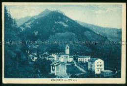 Delcampe - Valprato FRANCOBOLLO Bollo Democratica 1945 Piemonte Italia - Andere Städte