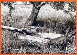 Delcampe - N° 66 1988 Le Bassin En Bois  88 Vosges Vieux Métiers Expo Photo Sapois Vagney - Bauern