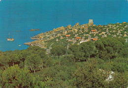 Delcampe - Cefalù Palerme SICILE Cicilia  Italie (scan R/V) N° 32 \ PF1414 - Palermo