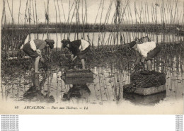 Delcampe - Arcachon - Parc Aux Huîtres - Arcachon