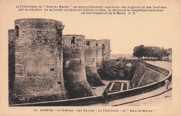 Delcampe - 49 ANGERS LE CHATEAU - Angers