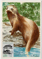 Delcampe - France Cm Yv:2539/2542 Les Rapaces Cmax Paris 18-6-88 - Andere & Zonder Classificatie
