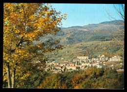 Delcampe - LAMASTRE  Vue Générale édition Cellard - Lamastre
