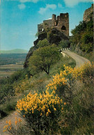 Delcampe - Carte Postale - 07 - Rochemaure - Ruines De L'ancien Château Féodal Dominant La Vallée Du Rhône - Vieilles Pierres - CPM - Rochemaure