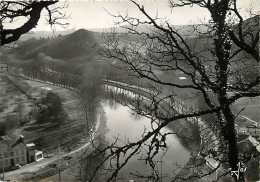 Delcampe - Carte Postale - 29 - Chateaulin - La Boucle De L'Aulne Vue Du Château - Mention Photographie Véritable - CPSM Grand Form - Châteaulin