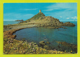 Delcampe - Corse Du Sud AJACCIO Iles Sanguinaires La Tour VOIR DOS En 1974 - Ajaccio