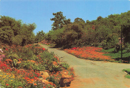 Delcampe - AFRIQUE DU SUD JOHANNESBURG JOHANNESBURG - Südafrika