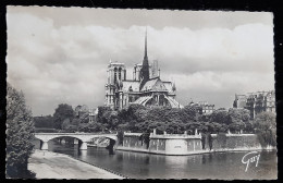 Delcampe - 75 - PARIS ET SES MERVEILLES - La Pointe Est De L'Ile De La Cité , Le Pont , Notre Dame  - Cpsm Edit LECONTE Guy - Plätze