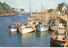 Delcampe - 29 DOUARNENEZ #SAN49797 LE PORT RHU - Douarnenez