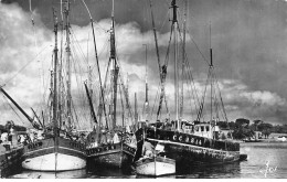 Delcampe - 29 CONCARNEAU #DC51744 LE PORT DE PECHE THONIERS DONT LES TANGONS SONT RELEVES - Concarneau