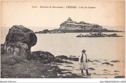 Delcampe - AAUP9-29-0829 - TREBOUL - L'Ile Du Coulinec - Tréboul