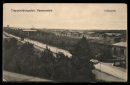Delcampe - AK Hammerstein, Blick über Den Truppenübungsplatz - Pommern