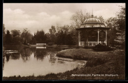 Delcampe - AK Schneidemühl, Partie Im Stadtpark - Pommern