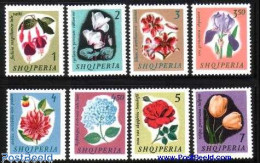 Delcampe - Albania 1965 Flowers 8v, Mint NH, Nature - Flowers & Plants - Roses - Albanien